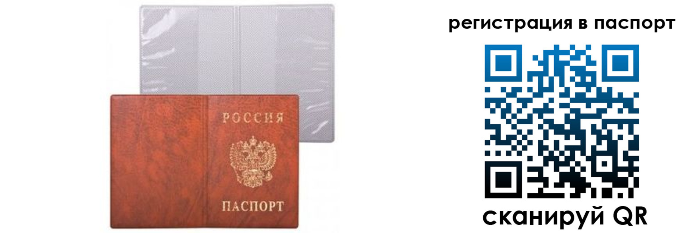 прописка ребенка в Евпатории